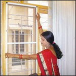 Mosquito net for windows